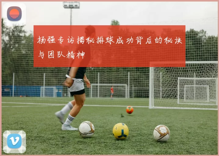 杨强专访揭秘排球成功背后的秘诀与团队精神