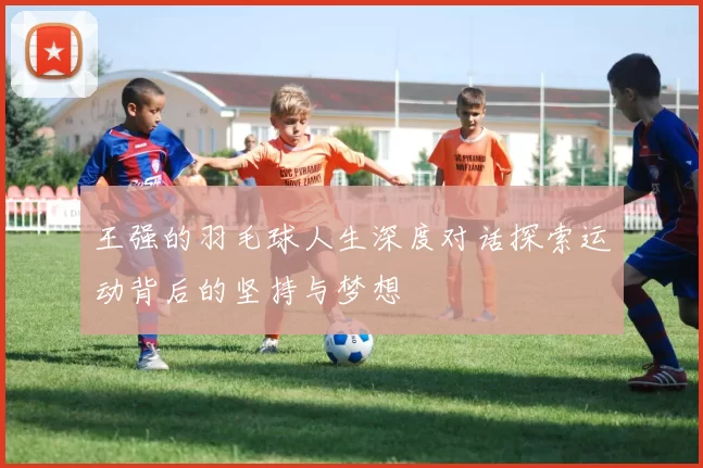 王强的羽毛球人生深度对话探索运动背后的坚持与梦想