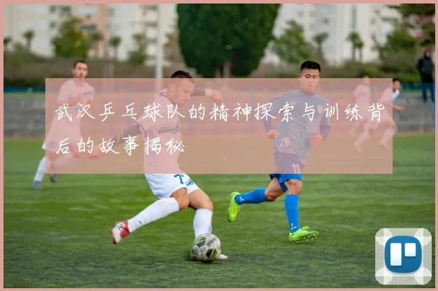 武汉乒乓球队的精神探索与训练背后的故事揭秘