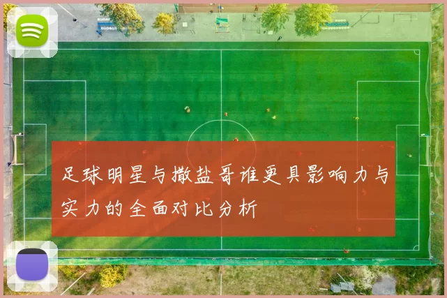 足球明星与撒盐哥谁更具影响力与实力的全面对比分析