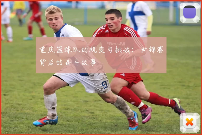 重庆篮球队的蜕变与挑战：世锦赛背后的奋斗故事