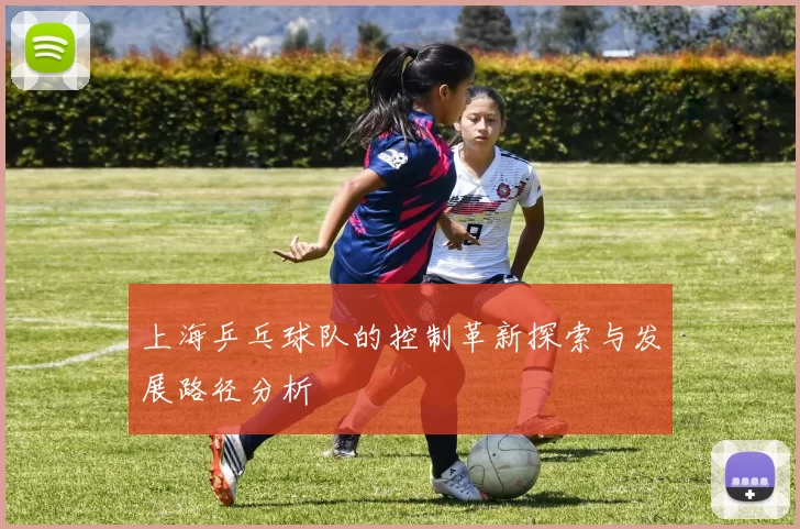 上海乒乓球队的控制革新探索与发展路径分析