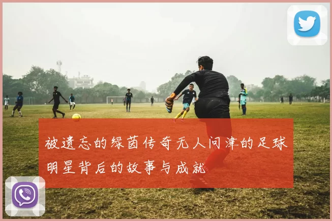 被遗忘的绿茵传奇无人问津的足球明星背后的故事与成就