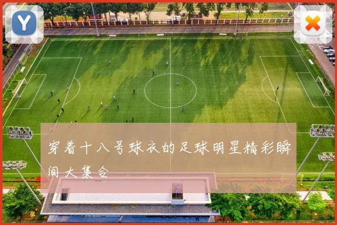 穿着十八号球衣的足球明星精彩瞬间大集合