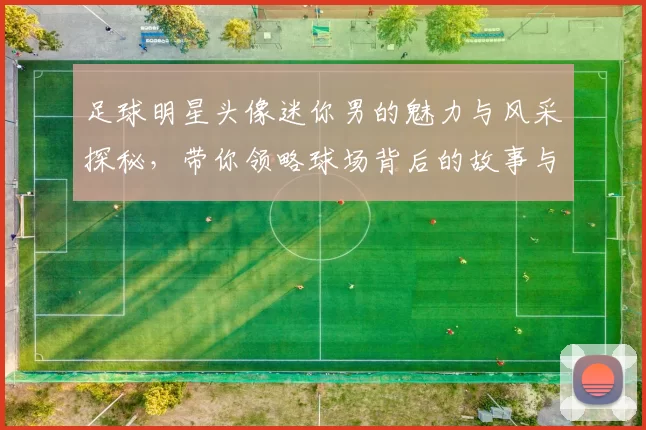 足球明星头像迷你男的魅力与风采探秘，带你领略球场背后的故事与激情
