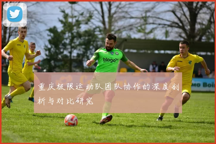 重庆极限运动队团队协作的深度剖析与对比研究