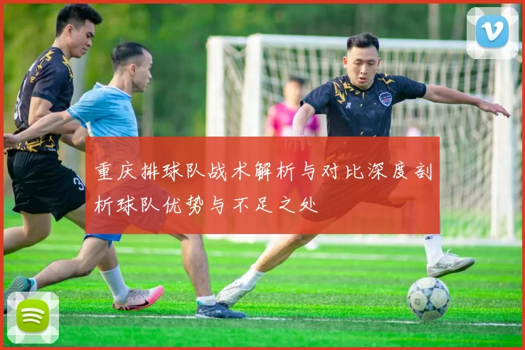 重庆排球队战术解析与对比深度剖析球队优势与不足之处