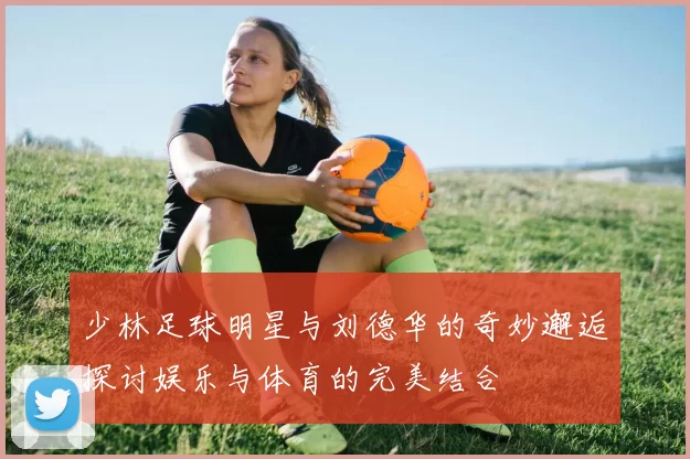 少林足球明星与刘德华的奇妙邂逅探讨娱乐与体育的完美结合
