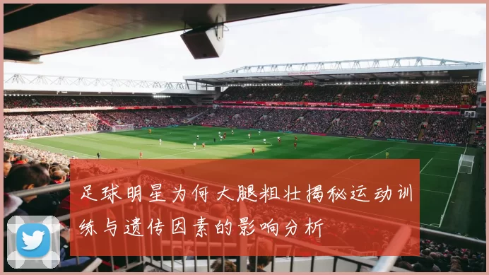 足球明星为何大腿粗壮揭秘运动训练与遗传因素的影响分析