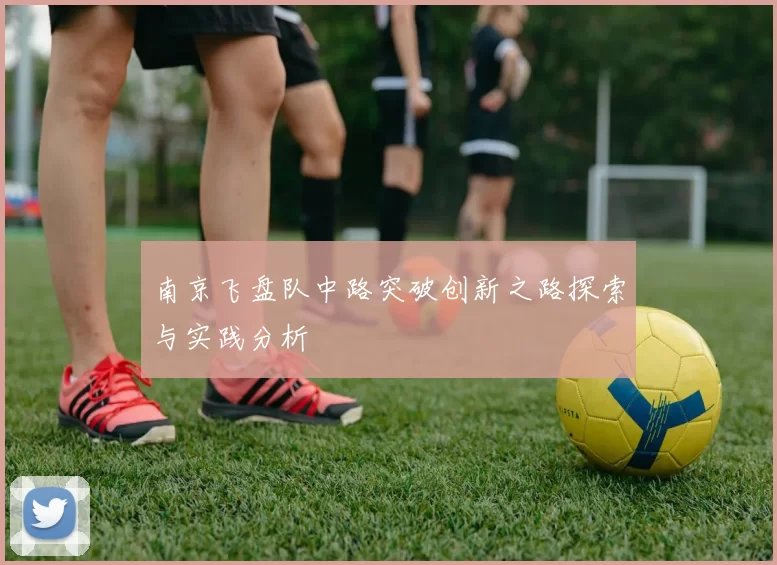 南京飞盘队中路突破创新之路探索与实践分析
