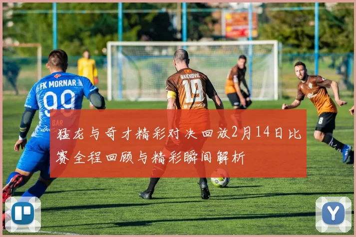 猛龙与奇才精彩对决回放2月14日比赛全程回顾与精彩瞬间解析