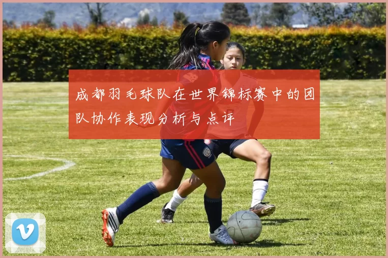 成都羽毛球队在世界锦标赛中的团队协作表现分析与点评