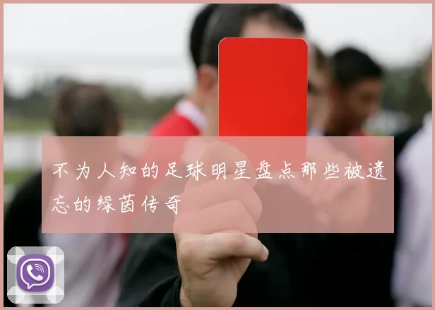 不为人知的足球明星盘点那些被遗忘的绿茵传奇