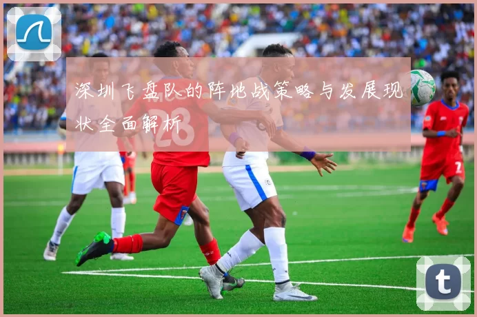 深圳飞盘队的阵地战策略与发展现状全面解析