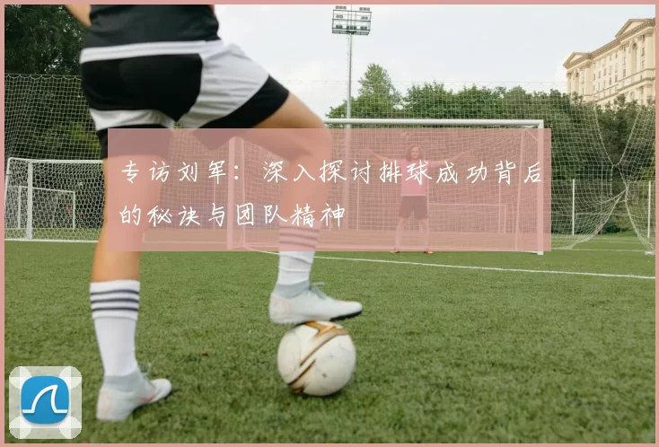 专访刘军：深入探讨排球成功背后的秘诀与团队精神