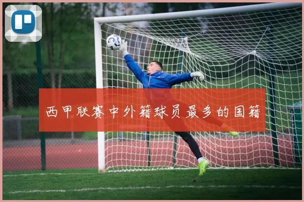 西甲联赛中外籍球员最多的国籍