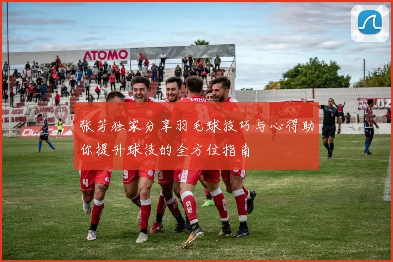张芳独家分享羽毛球技巧与心得助你提升球技的全方位指南