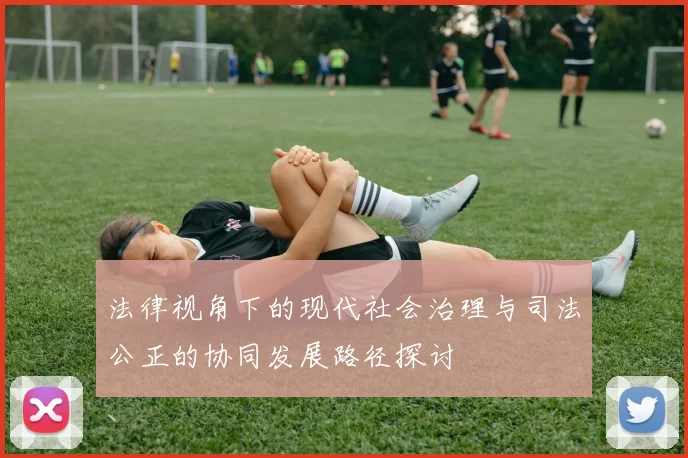 法律视角下的现代社会治理与司法公正的协同发展路径探讨
