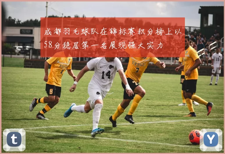 成都羽毛球队在锦标赛积分榜上以58分稳居第一名展现强大实力