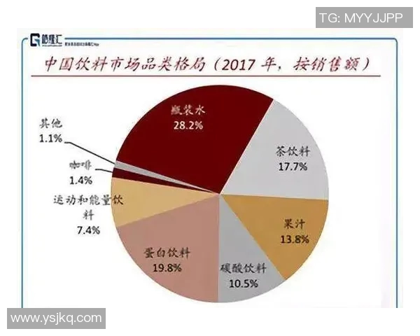 南京排球队转型之路：从传统强队到现代竞技新标杆的深度解析